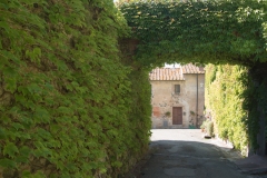 Scatti Val di Cecina 002 14 agosto 2017