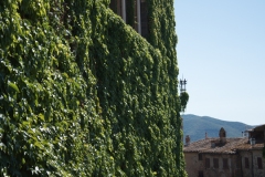 Scatti Val di Cecina 004 14 agosto 2017