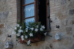 Scatti Val di Cecina 023 14 agosto 2017