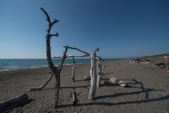 Scatti Marina di Bibbona 13 Ottobre-007