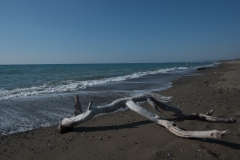 Scatti Marina di Bibbona 13 Ottobre-013