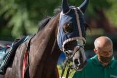 Scatti-Ippodromo-Visarno-202010