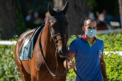 Scatti-Ippodromo-Visarno-202012