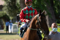Scatti-Ippodromo-Visarno-202015