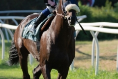 Scatti-Ippodromo-Visarno-202028