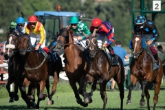 Scatti-Ippodromo-Visarno-202037