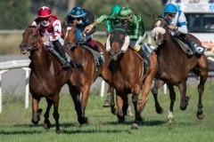 Scatti-Ippodromo-Visarno-202040