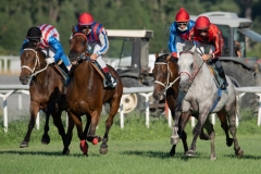 Scatti-Ippodromo-Visarno-202049