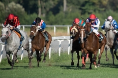 Scatti-Ippodromo-Visarno-202053