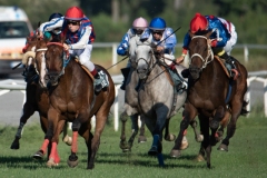 Scatti-Ippodromo-Visarno-202058