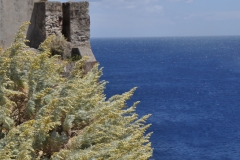 Scatti-Isole-Eolie-061-15-maggio-2010