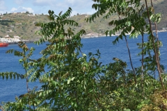 Scatti-Isole-Eolie-071-15-maggio-2010