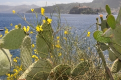 Scatti-Isole-Eolie-087-15-maggio-2010