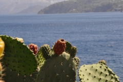 Scatti-Isole-Eolie-132-16-maggio-2010