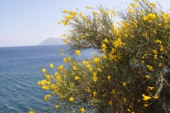 Scatti-Isole-Eolie-133-16-maggio-2010