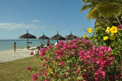 Scatti Mauritius 017 01 novembre 2011