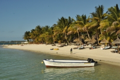 Scatti Mauritius 030 01 novembre 2011