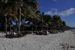 Scatti Mauritius 031 01 novembre 2011