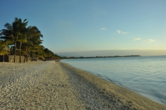 Scatti Mauritius 034 02 novembre 2011