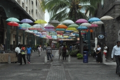 Scatti Mauritius 064 04 dicembre 2013