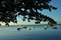 Scatti Mauritius 068 06 dicembre 2013