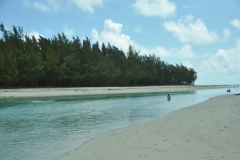Scatti Mauritius 099 03 dicembre 2012