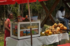 Scatti Mauritius 113 04 novembre 2011