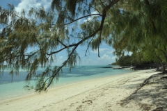 Scatti Mauritius 122 03 dicembre 2012