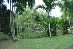 Scatti Mauritius 183 04 novembre 2011