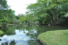 Scatti Mauritius 184 04 novembre 2011