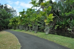 Scatti Mauritius 186 04 novembre 2011
