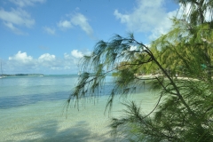 Scatti Mauritius 194 03 dicembre 2012