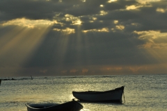 Scatti Mauritius 223 05 novembre 2011