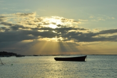 Scatti Mauritius 225 05 novembre 2011
