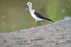 Scatti-Parco-della-Piana-202043