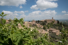 Scatti Val d'Orcia 060 24 aprile 2017