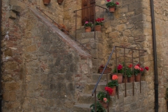 Scatti Val d\'Orcia 198 24 aprile 2017