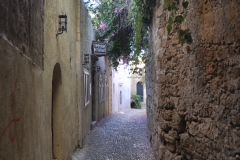 Scatti Viaggio Isola di Rodi 067 05 ottobre 2010
