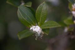 Scatti-Macro-201920
