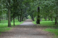 Scatti-Parco-Cascine-201913