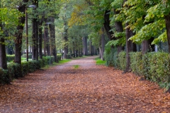 Scatti-Parco-Cascine-20192