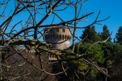 Scatti-Volterra-20202