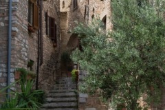 Scatti-giornata-a-Spello-e-Cortona-2020100