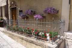 Scatti-giornata-a-Spello-e-Cortona-2020106