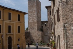 Scatti-giornata-a-Spello-e-Cortona-202013