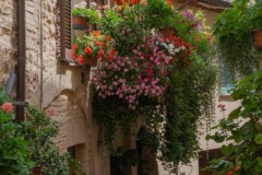 Scatti-giornata-a-Spello-e-Cortona-202028