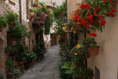 Scatti-giornata-a-Spello-e-Cortona-202029