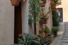 Scatti-giornata-a-Spello-e-Cortona-202033