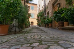 Scatti-giornata-a-Spello-e-Cortona-202037