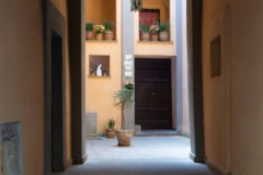 Scatti-giornata-a-Spello-e-Cortona-202041